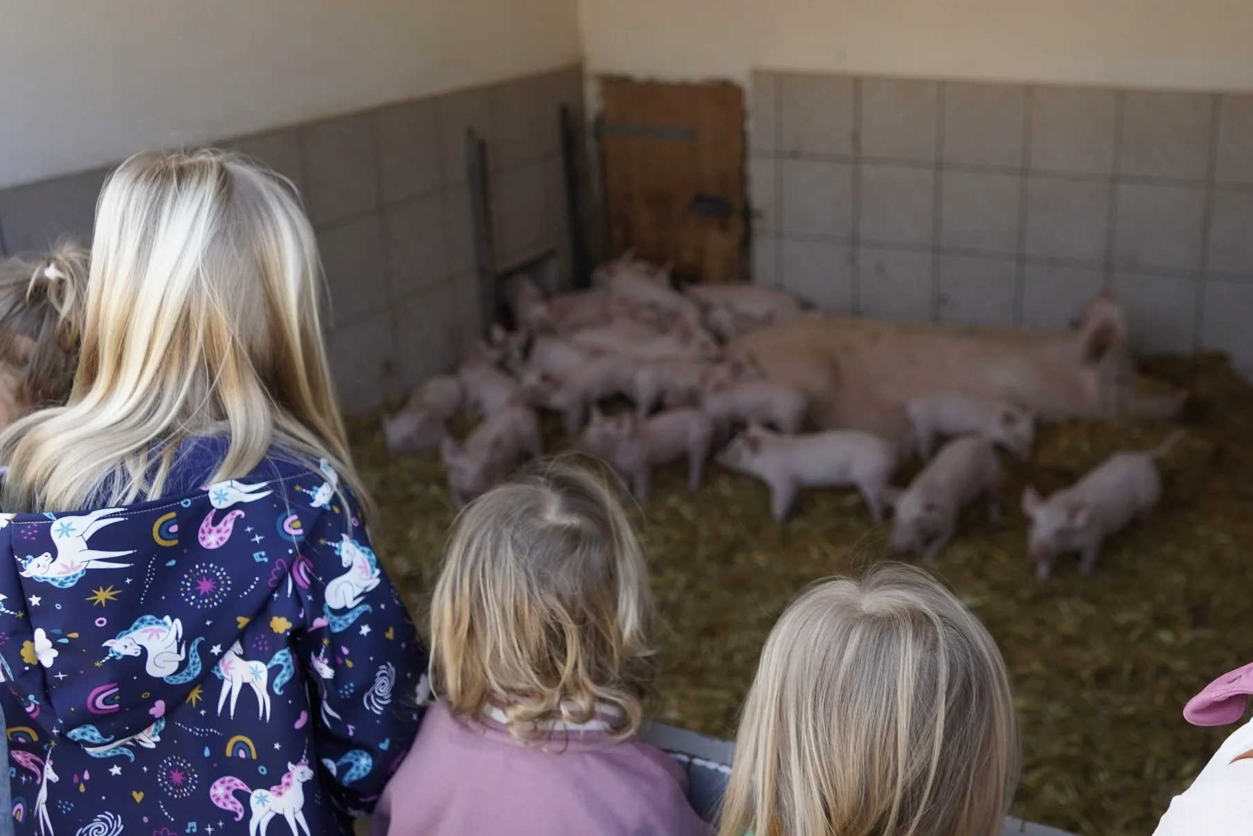 Landwirtschaft hautnah erleben