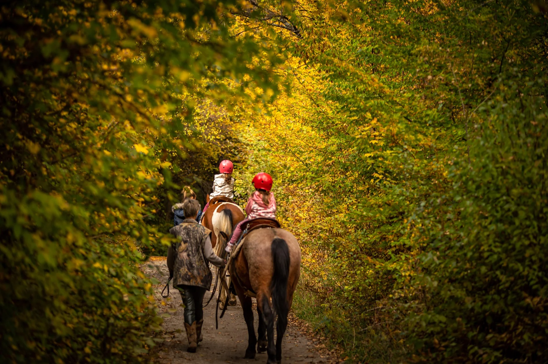 Abenteuer auf dem Reiterhof